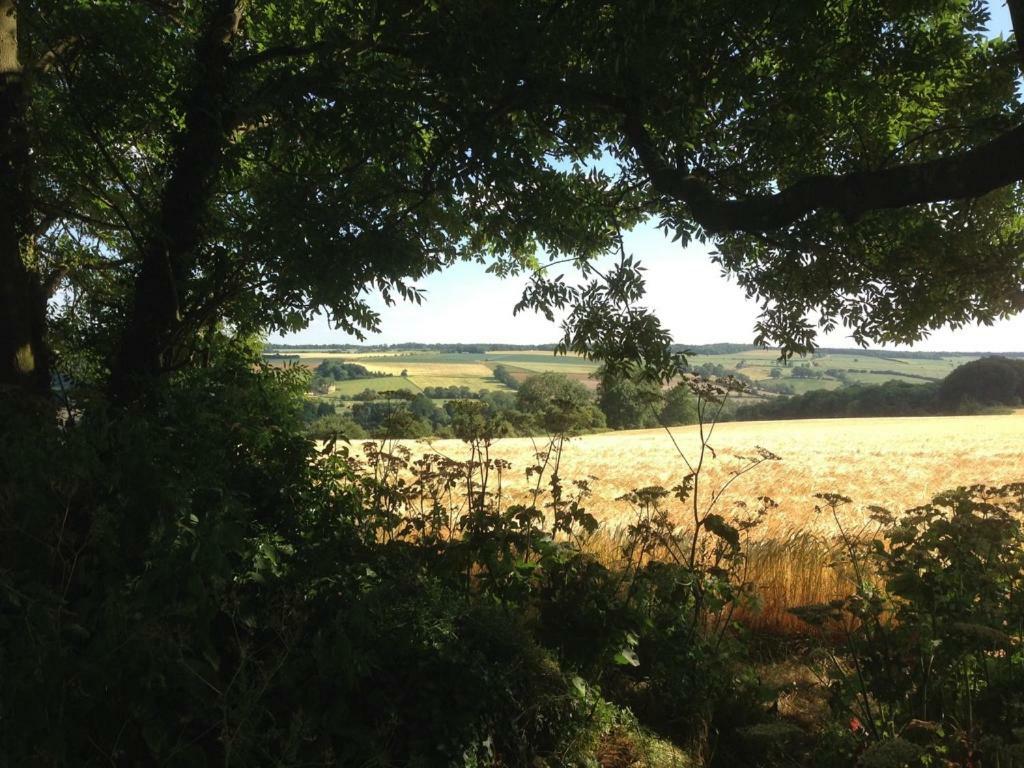 2 Bedroom Cottage Chipping Campden 치핑캠프던 외부 사진